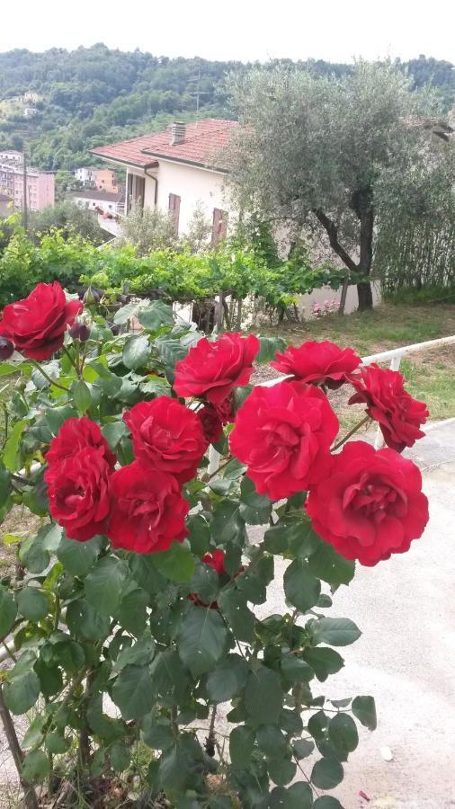 Casetta Del Nonno Bis Аркола Екстериор снимка